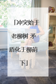冲突始于老柳树 矛盾化于柳荫下