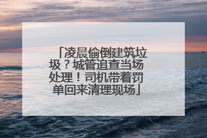 凌晨偷倒建筑垃圾？城管追查当场处理！司机带着罚单回来清理现场