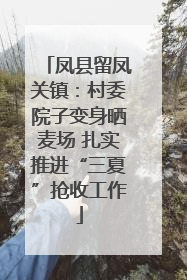 凤县留凤关镇：村委院子变身晒麦场 扎实推进“三夏”抢收工作