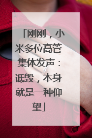 刚刚，小米多位高管集体发声：诋毁，本身就是一种仰望