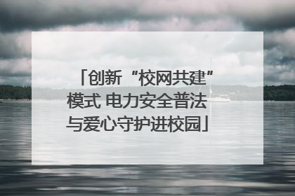 创新“校网共建”模式 电力安全普法与爱心守护进校园