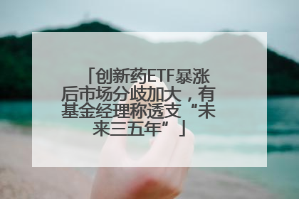 创新药ETF暴涨后市场分歧加大，有基金经理称透支“未来三五年”