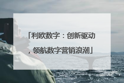 利欧数字：创新驱动，领航数字营销浪潮