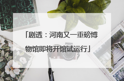 剧透：河南又一重磅博物馆即将开馆试运行