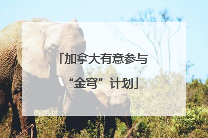 加拿大有意参与“金穹”计划