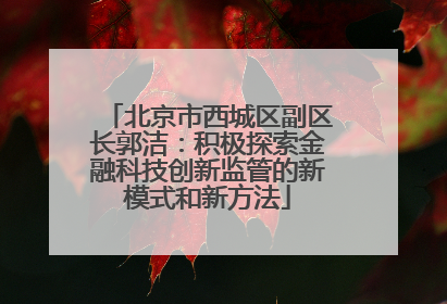 北京市西城区副区长郭洁：积极探索金融科技创新监管的新模式和新方法