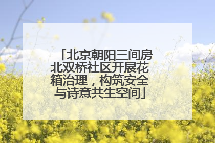 北京朝阳三间房北双桥社区开展花箱治理，构筑安全与诗意共生空间