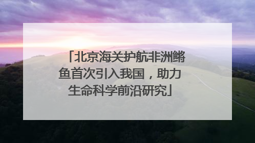 北京海关护航非洲鳉鱼首次引入我国，助力生命科学前沿研究