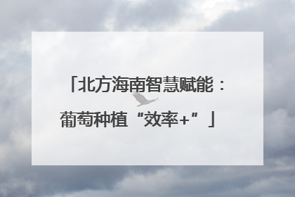 北方海南智慧赋能：葡萄种植“效率+”