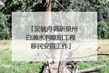 吴毓舟调研泉州白濑水利枢纽工程移民安置工作
