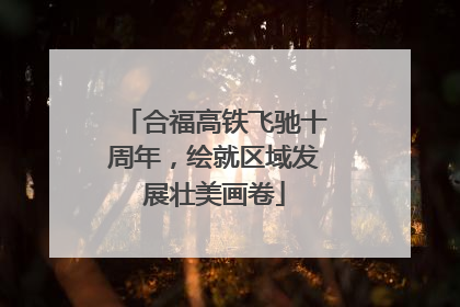 合福高铁飞驰十周年，绘就区域发展壮美画卷