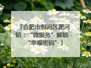 合肥市包河区淝河镇：“微服务”解锁“幸福密码”