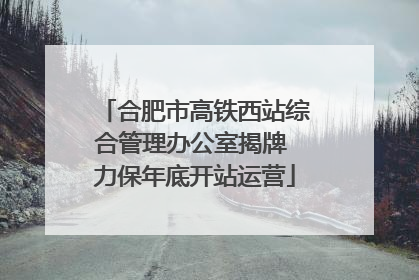 合肥市高铁西站综合管理办公室揭牌 力保年底开站运营