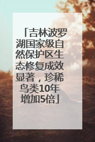 吉林波罗湖国家级自然保护区生态修复成效显著，珍稀鸟类10年增加5倍