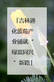 吉林通化蓝莓产业铺就“绿富同兴”新路