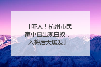 吓人！杭州市民家中已出现白蚁，入梅后大爆发