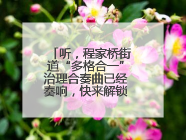 听，程家桥街道“多格合一”治理合奏曲已经奏响，快来解锁高光时刻！