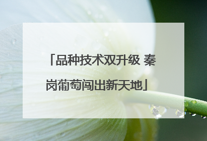 品种技术双升级 秦岗葡萄闯出新天地