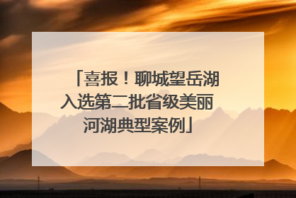 喜报！聊城望岳湖入选第二批省级美丽河湖典型案例