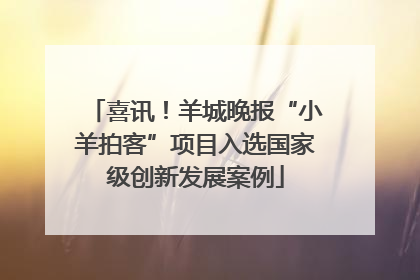 喜讯！羊城晚报“小羊拍客”项目入选国家级创新发展案例