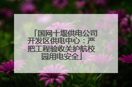 国网十堰供电公司开发区供电中心：严把工程验收关护航校园用电安全