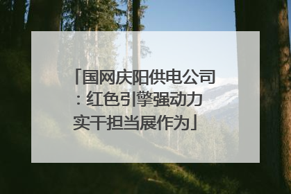 国网庆阳供电公司：红色引擎强动力 实干担当展作为