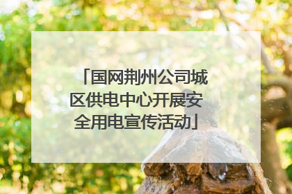 国网荆州公司城区供电中心开展安全用电宣传活动