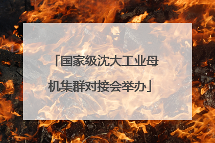 国家级沈大工业母机集群对接会举办
