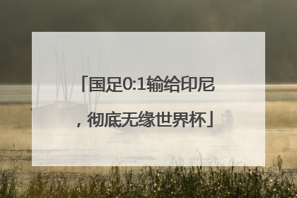 国足0:1输给印尼，彻底无缘世界杯