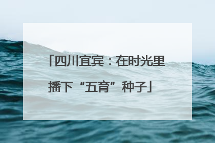 四川宜宾：在时光里播下“五育”种子