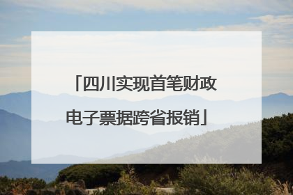 四川实现首笔财政电子票据跨省报销