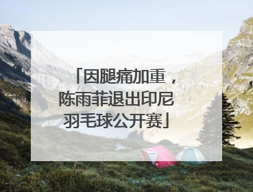 因腿痛加重，陈雨菲退出印尼羽毛球公开赛