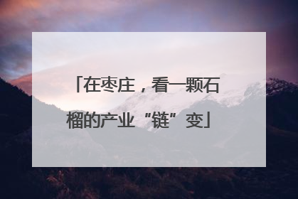 在枣庄，看一颗石榴的产业“链”变
