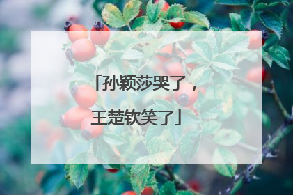 孙颖莎哭了，王楚钦笑了