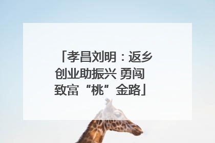 孝昌刘明：返乡创业助振兴 勇闯致富“桃”金路
