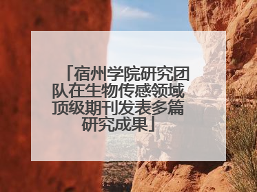 宿州学院研究团队在生物传感领域顶级期刊发表多篇研究成果