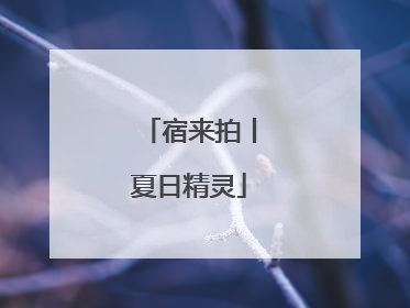 宿来拍丨夏日精灵