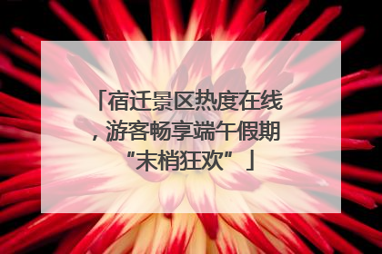 宿迁景区热度在线，游客畅享端午假期“末梢狂欢”