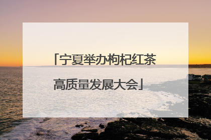 宁夏举办枸杞红茶高质量发展大会