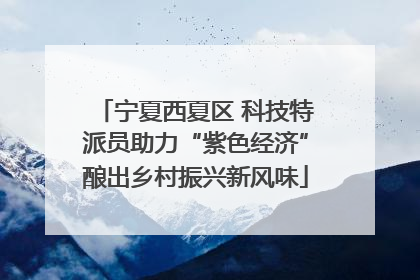 宁夏西夏区 科技特派员助力“紫色经济”酿出乡村振兴新风味