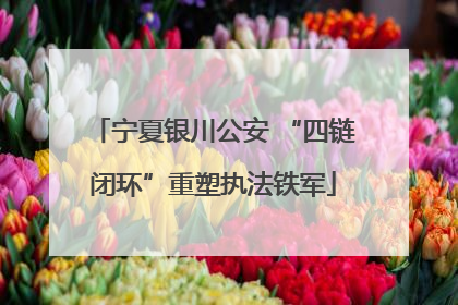 宁夏银川公安 “四链闭环”重塑执法铁军