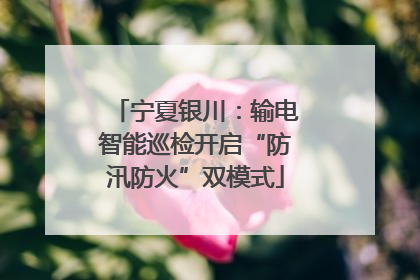 宁夏银川：输电智能巡检开启“防汛防火”双模式