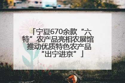 宁夏670余款“六特”农产品亮相农展馆 推动优质特色农产品“出宁进京”