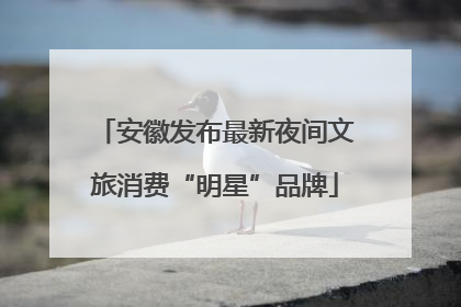 安徽发布最新夜间文旅消费“明星”品牌