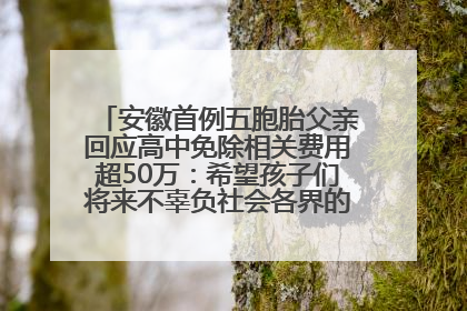 安徽首例五胞胎父亲回应高中免除相关费用超50万：希望孩子们将来不辜负社会各界的帮助与支持