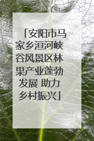 安阳市马家乡洹河峡谷风景区林果产业蓬勃发展 助力乡村振兴