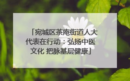 宛城区茶庵街道人大代表在行动：弘扬中医文化 把脉基层健康