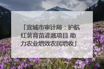 宜城市审计局：护航红薯育苗灌溉项目 助力农业增效农民增收