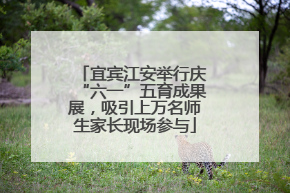 宜宾江安举行庆“六一”五育成果展，吸引上万名师生家长现场参与
