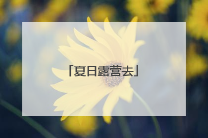 夏日露营去